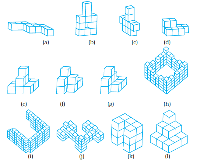 Page 195 Chapter 6 Class 8th NCERT Exemplar